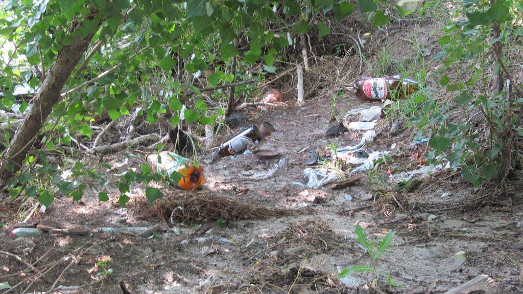 Шушвалівка з panoramio.com - Шушвалівка