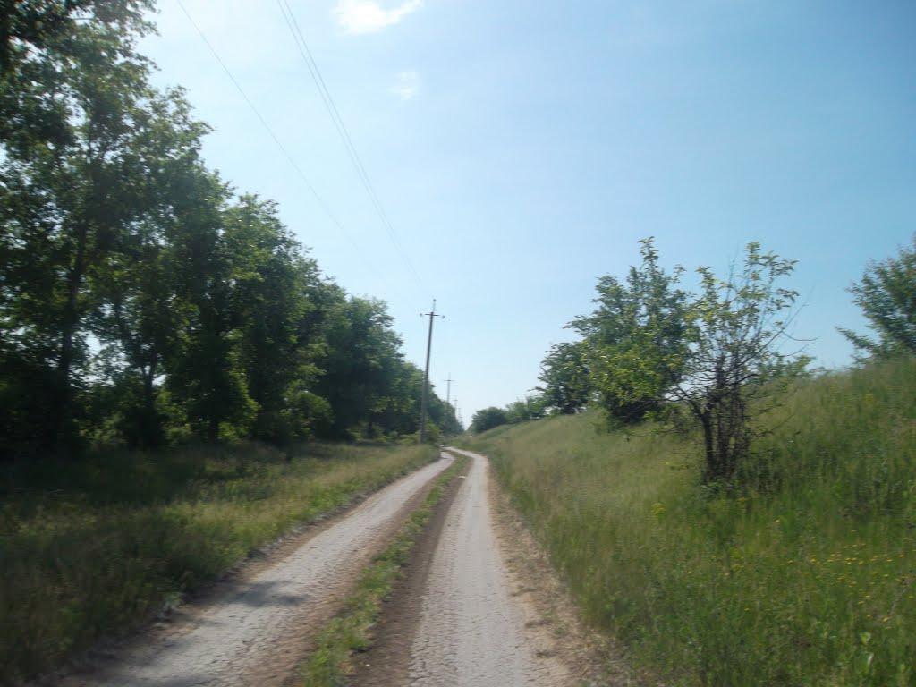 Первомайськ з panoramio.com (ч.2) - Первомайск