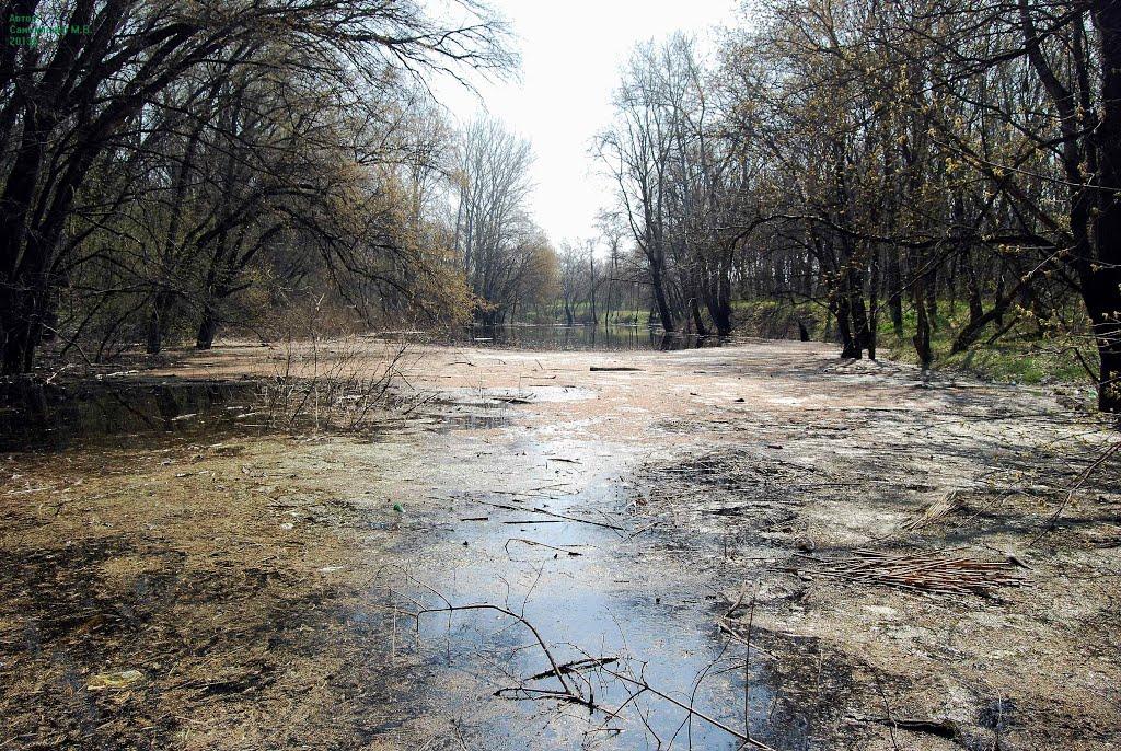 Приліпка з panoramio.com - Приліпка