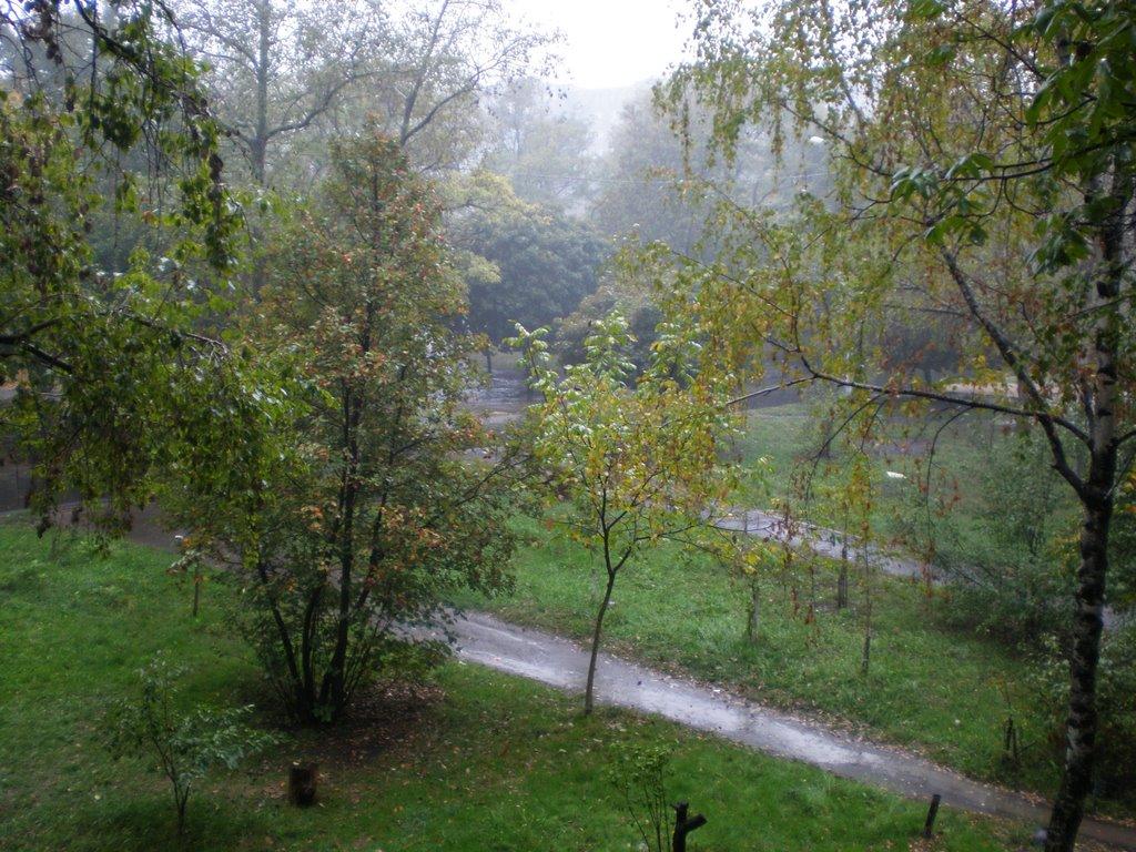 Іллічівське з panoramio.com - Іллічівське