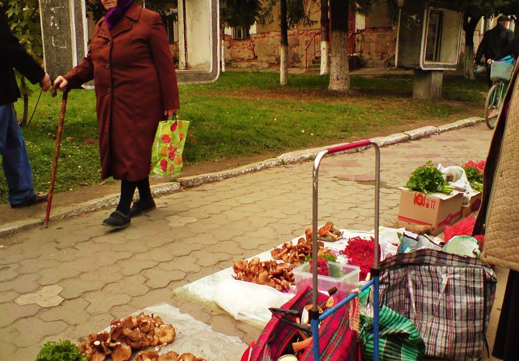 Бережани з panoramio.com - Бережаны