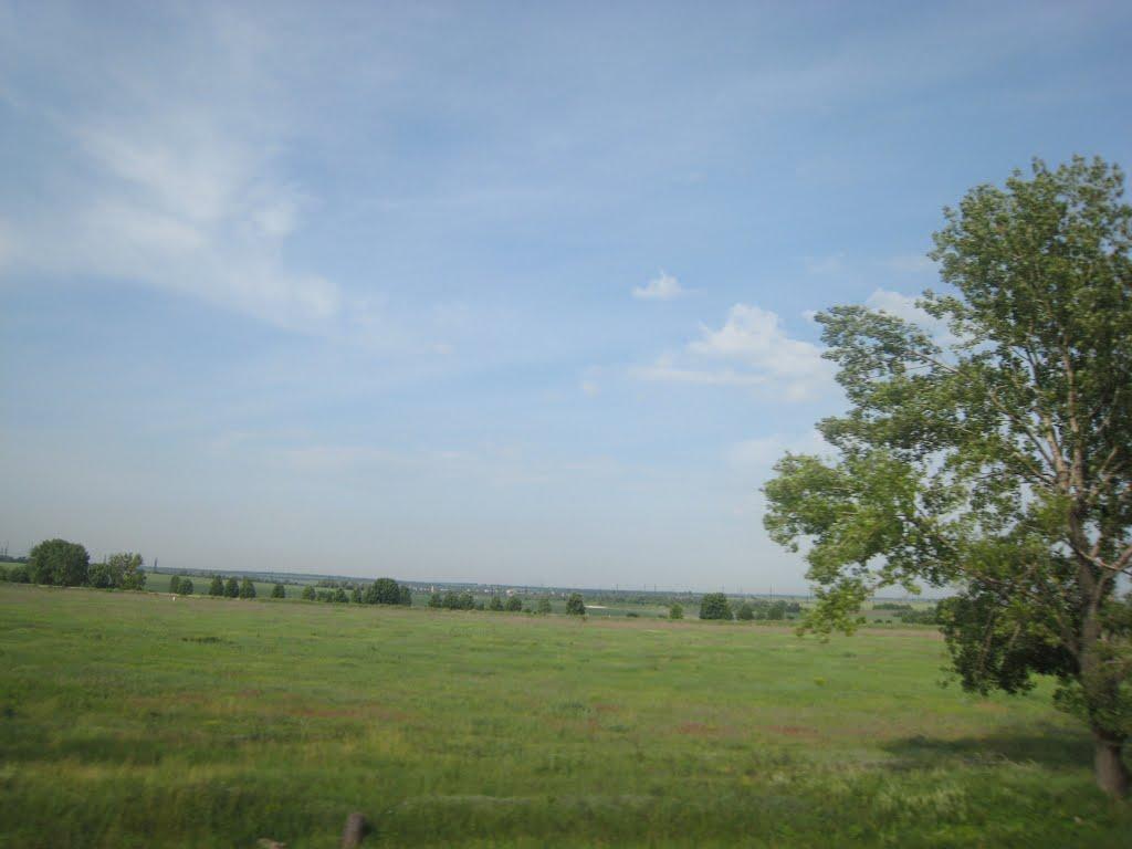 Карнаухівка з panoramio.com - Карнаухівка