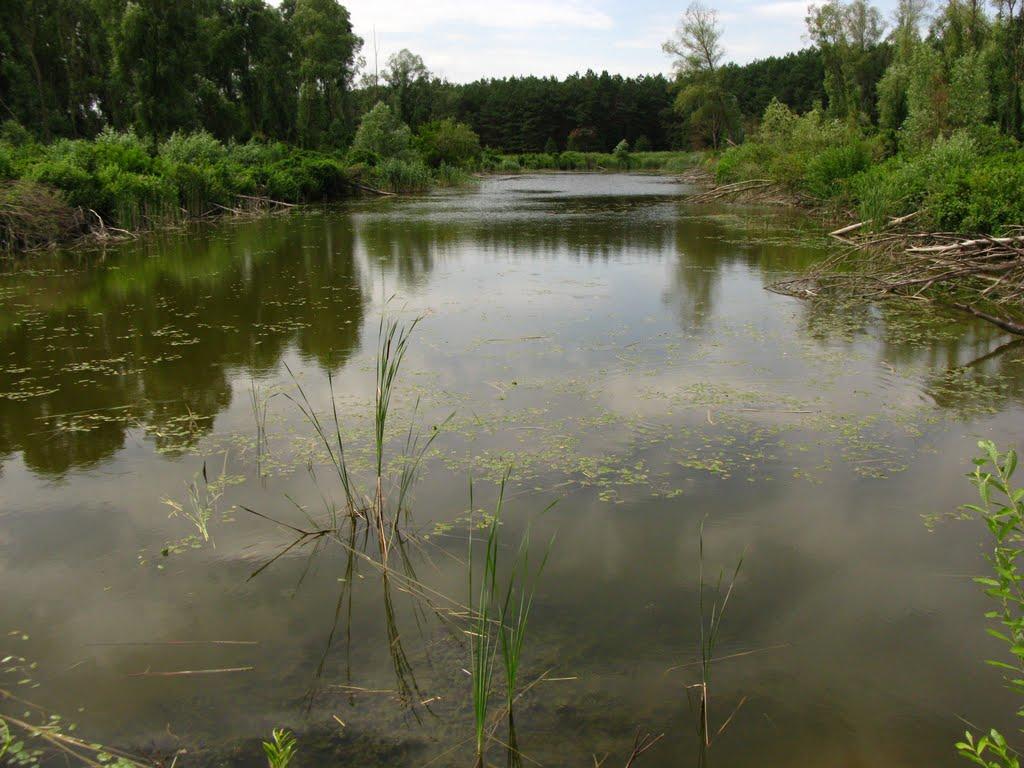 Леніне з panoramio.com - Ленино
