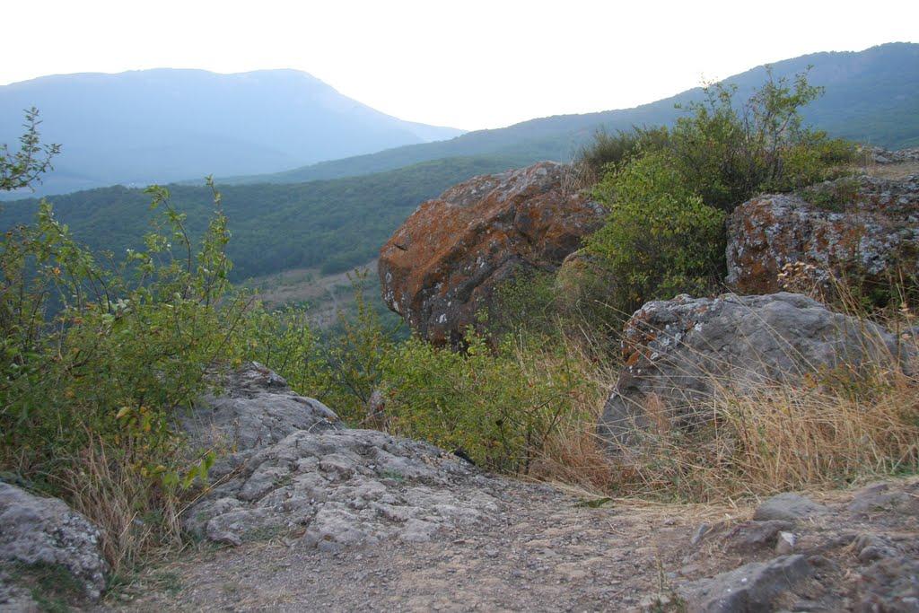 Лаванда з panoramio.com (ч.2) - Лаванда