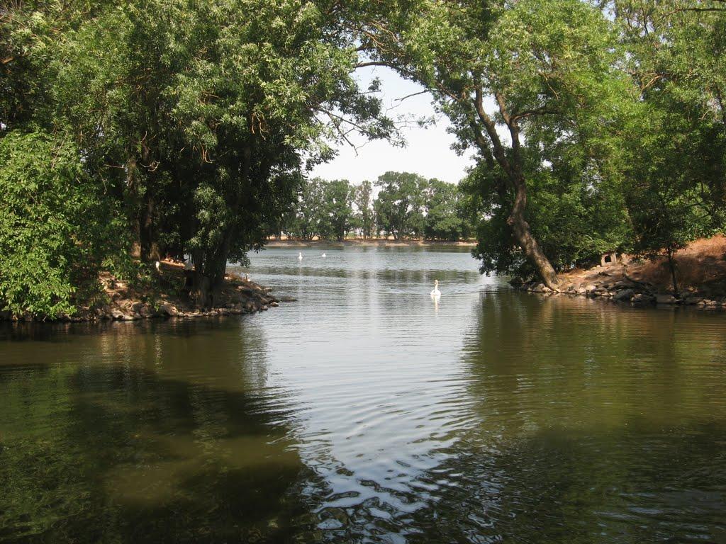 Асканія-Нова з panoramio.com - Askaniya-Nova
