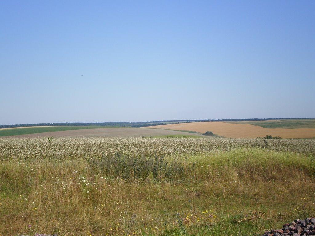 Завадівка з panoramio.com - Завадівка