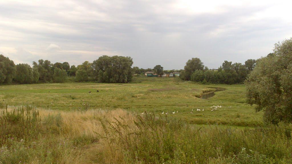 Харківка з panoramio.com - Харьковка