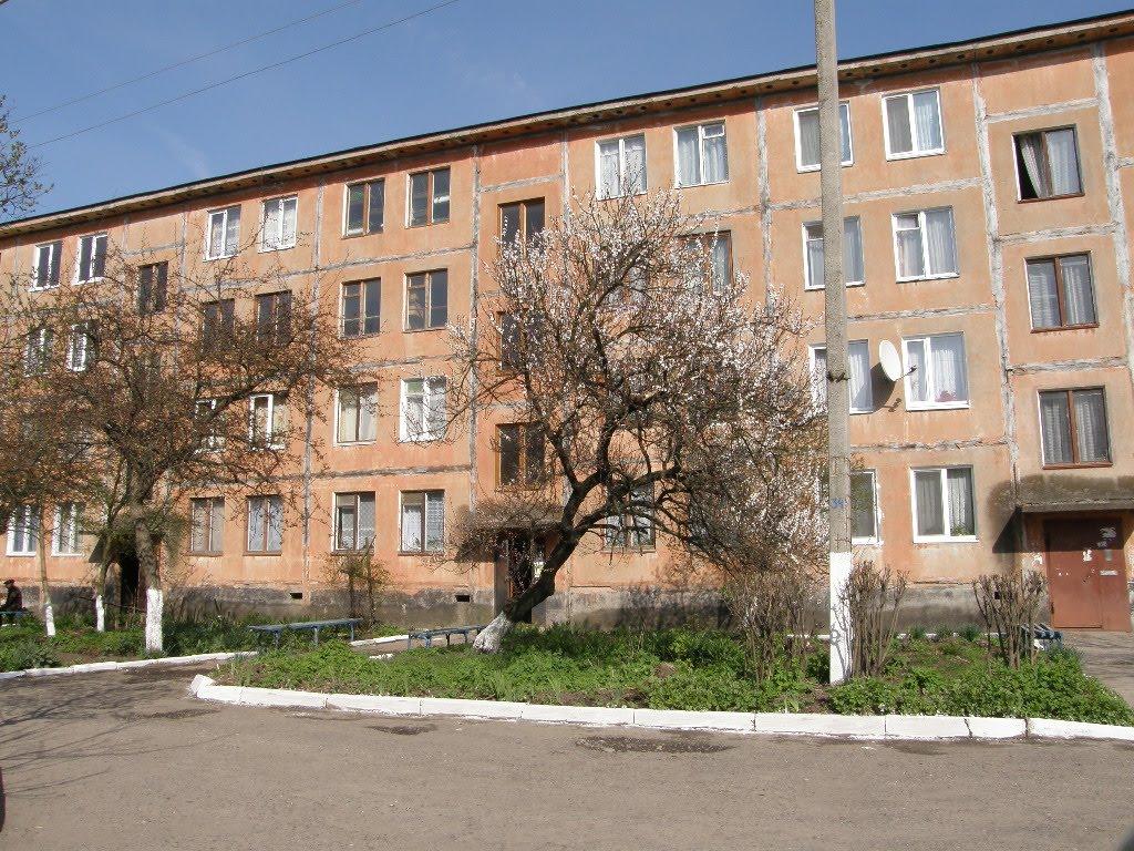 Бурштин з panoramio.com - Burshtyn