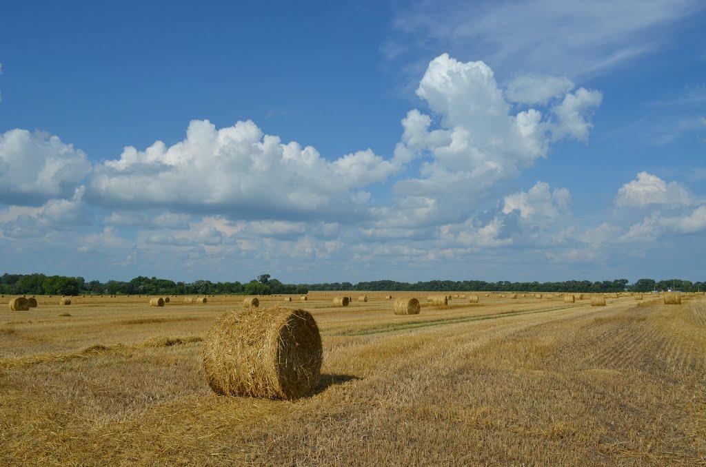 Радченки з panoramio.com - Радченки