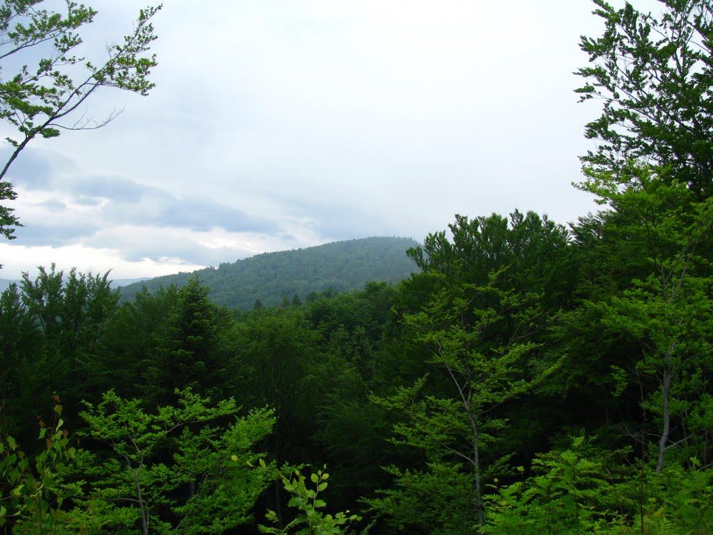 Міжгір'я з panoramio.com - Міжгір'я