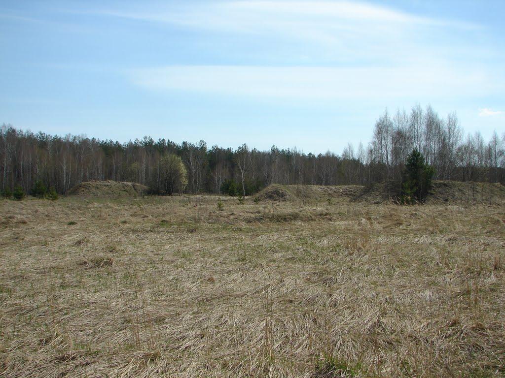 Гребінка з panoramio.com - Гребенка