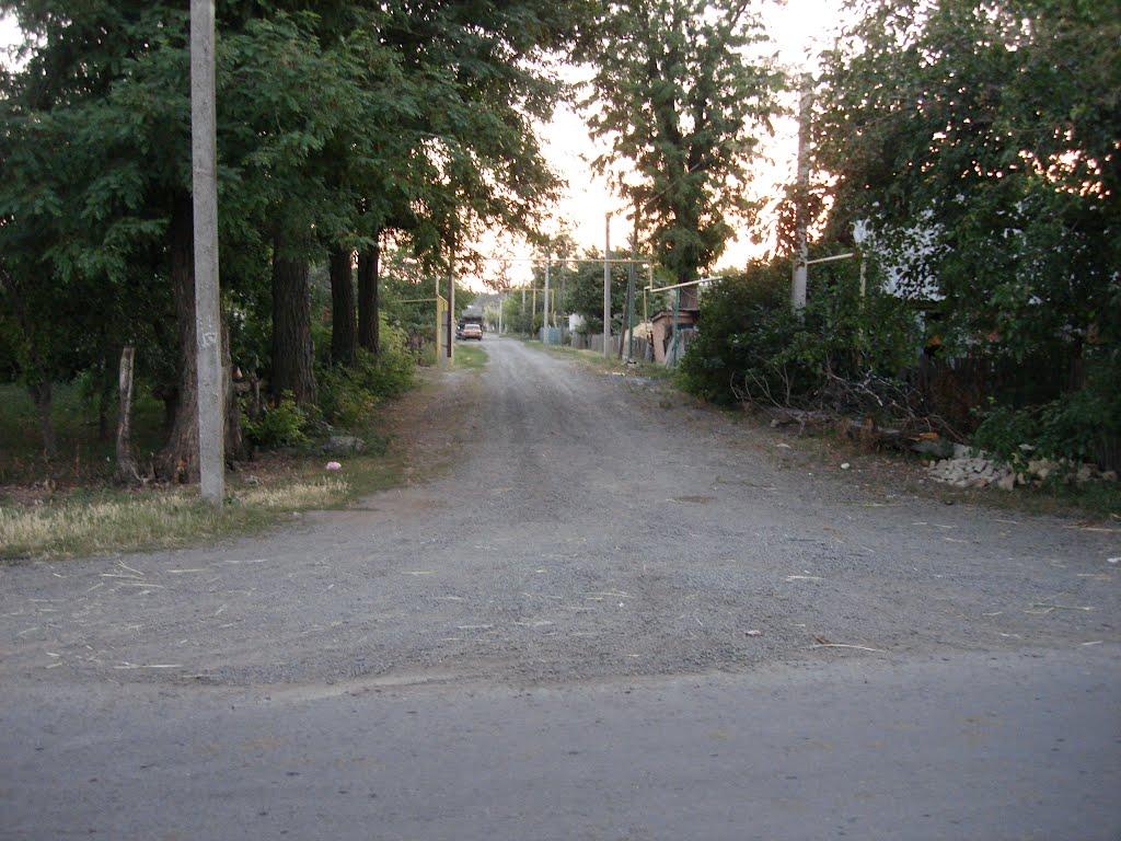 Любашівка з panoramio.com - Любашівка