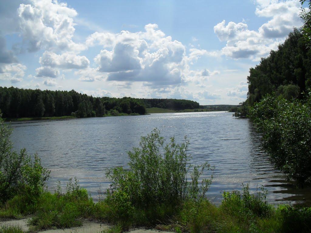 Печини з panoramio.com - Pechyny