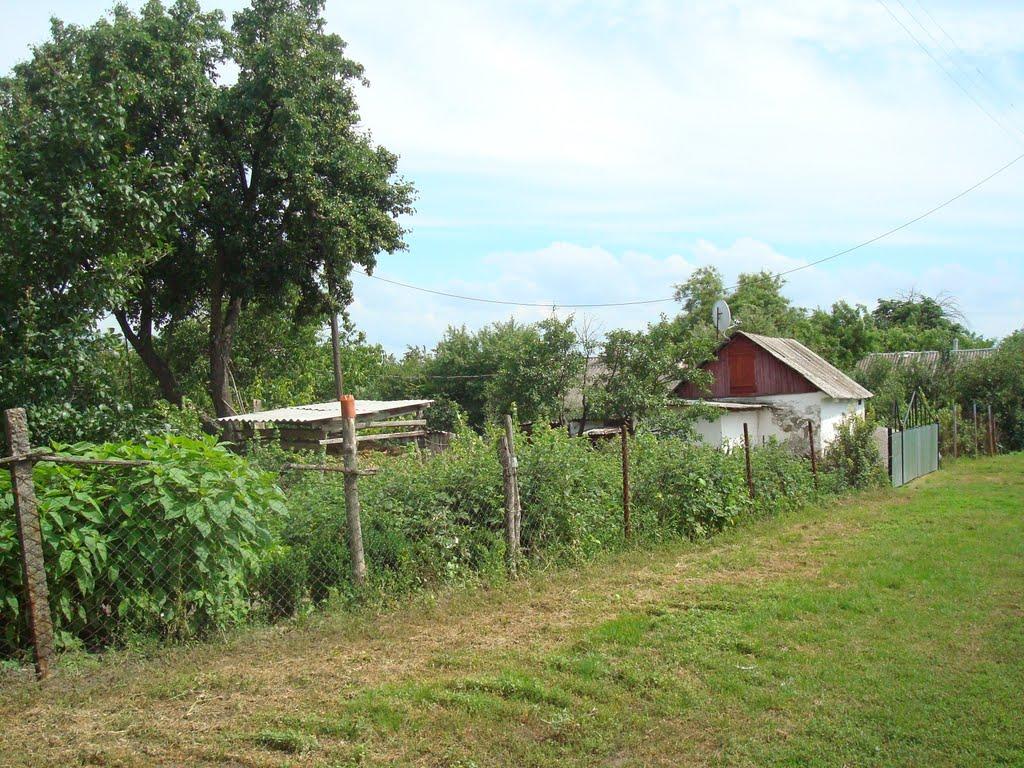 Побузьке з panoramio.com - Pobuzke
