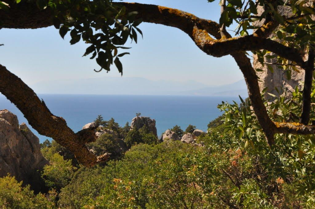Долина з panoramio.com - Долина