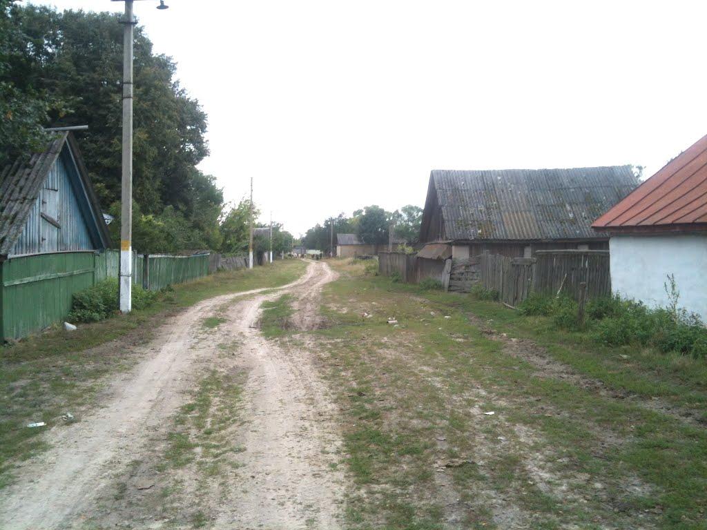 Любитове з panoramio.com - Любитово