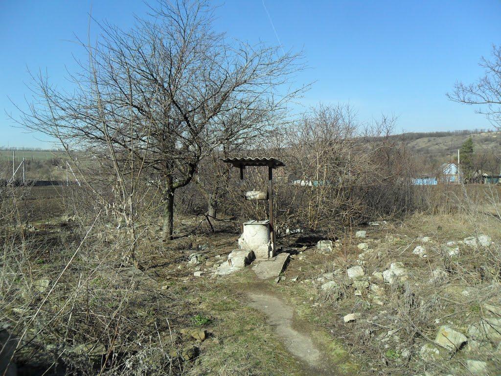 Зайцеве з panoramio.com - Зайцеве