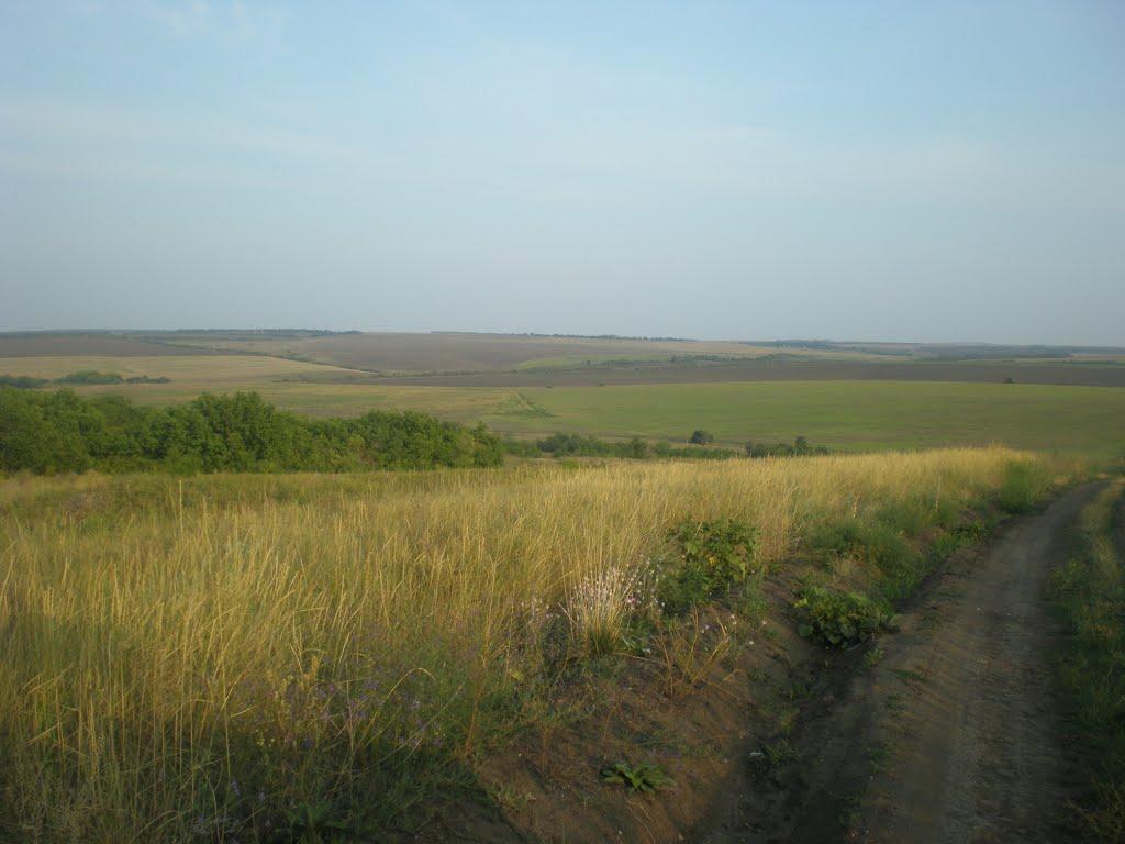 Білоскелювате з panoramio.com - Белоскелеватое