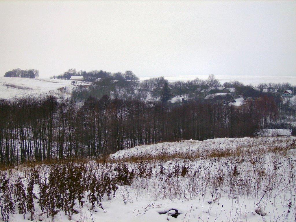 Нараїв з panoramio.com - Нараїв