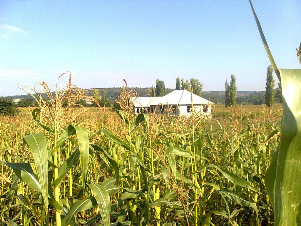 Верхня Слобідка з panoramio.com - Верхня Слобідка