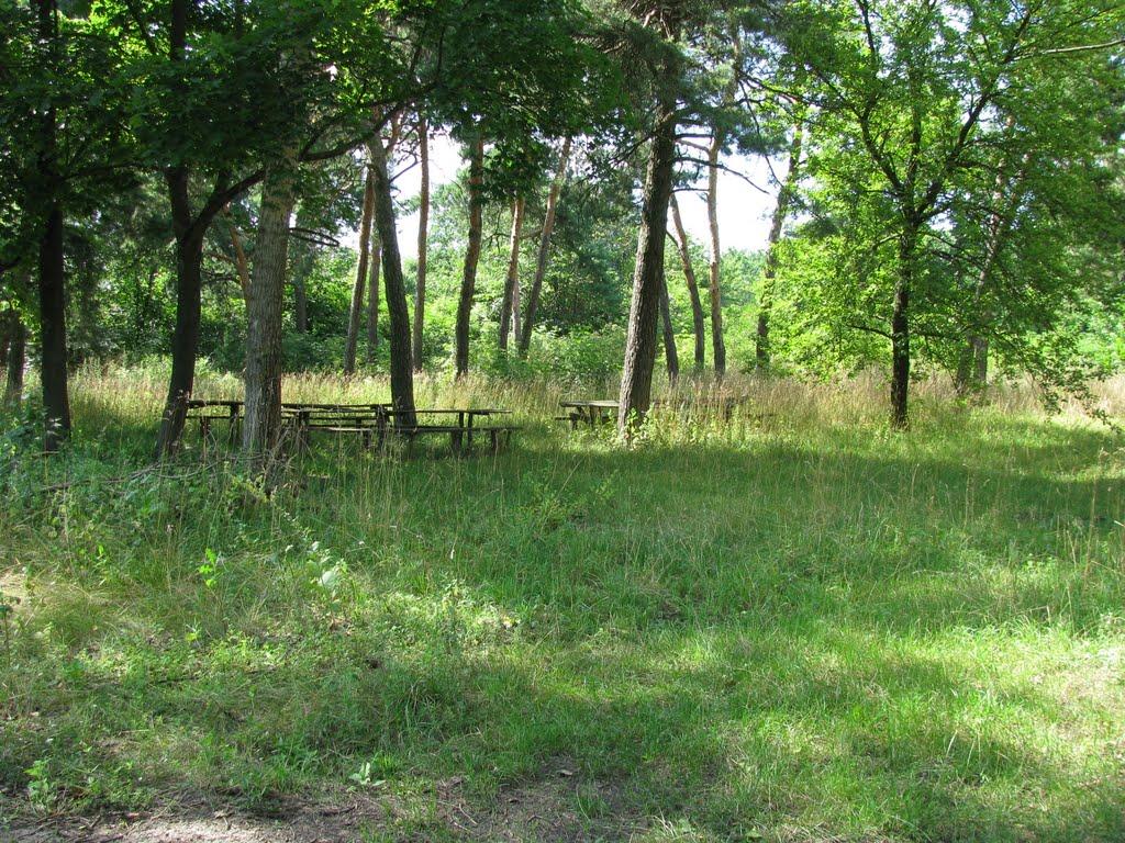 Лютенські Будища з panoramio.com - Лютенські Будища