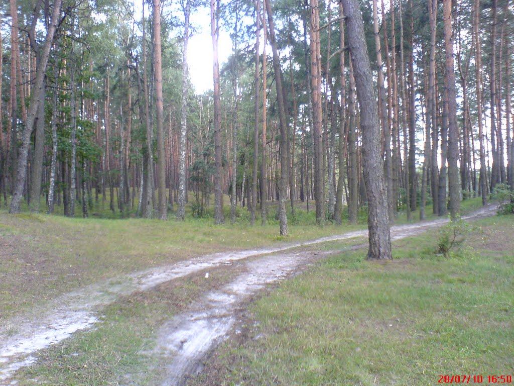 Варварівка з panoramio.com - Варварівка