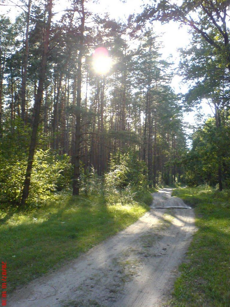 Варварівка з panoramio.com - Варварівка