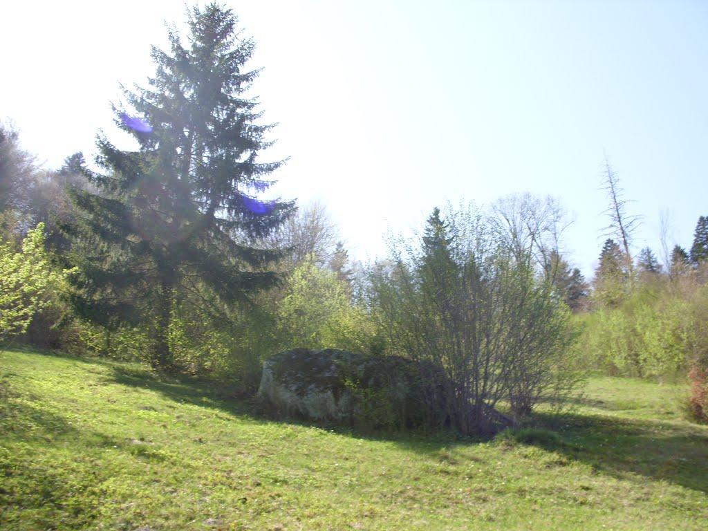 Фальків з panoramio.com (ч.2) - Фальків