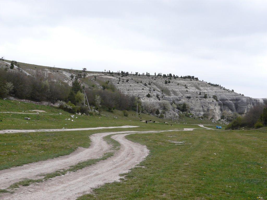Красний Мак з panoramio.com - Красный Мак