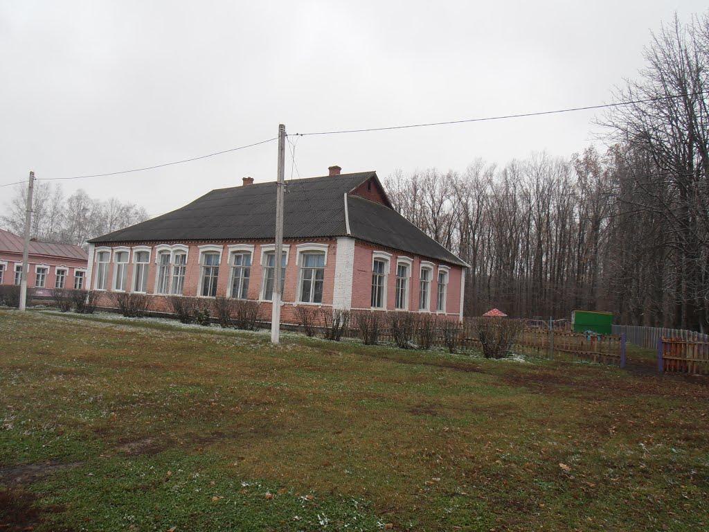 Черемушна з panoramio.com - Черемушна