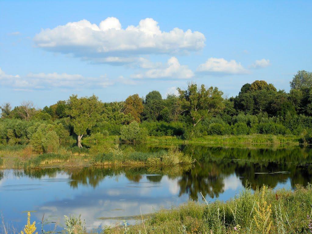 Забілівщина з panoramio.com - Забілівщина