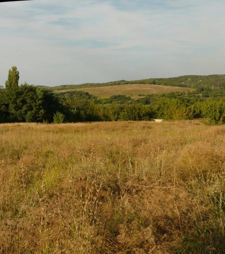 Великий Букрин з panoramio.com - Великий Букрин