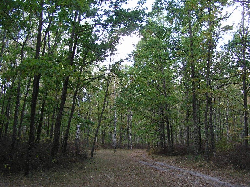 Горщик з panoramio.com - Горщик