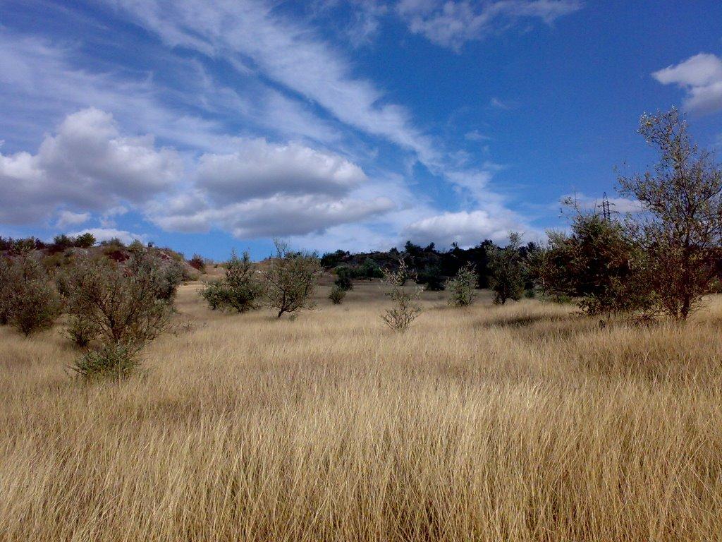 Юрківці з panoramio.com - Юрківці