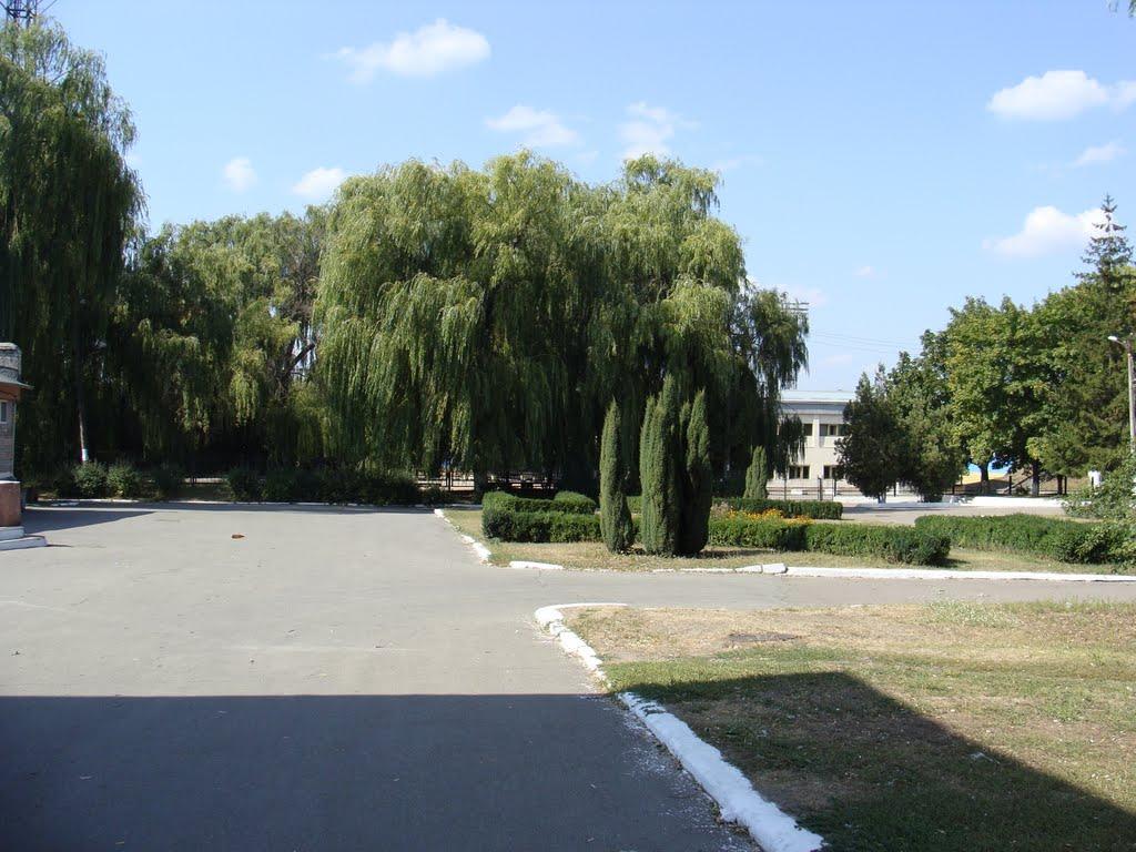 Вільногірськ з panoramio.com - Вільногірськ