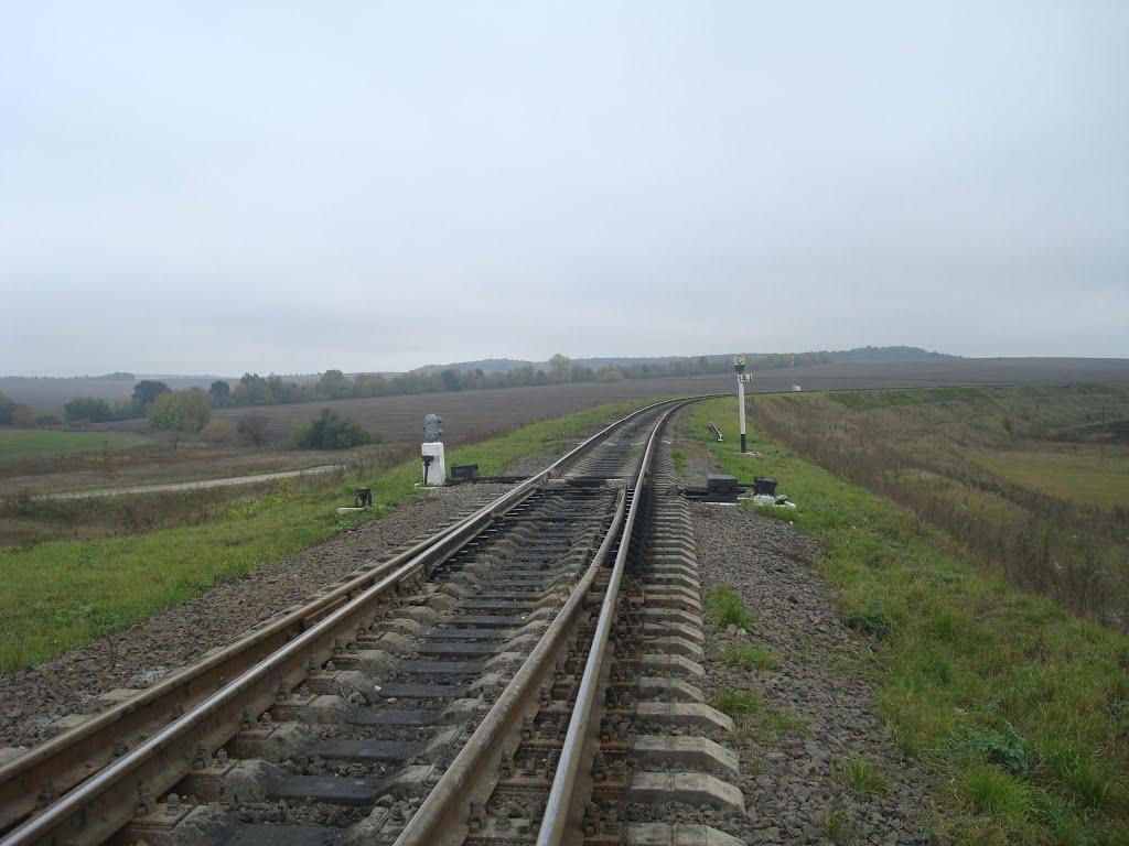 Буйволівці з panoramio.com - Буйволівці