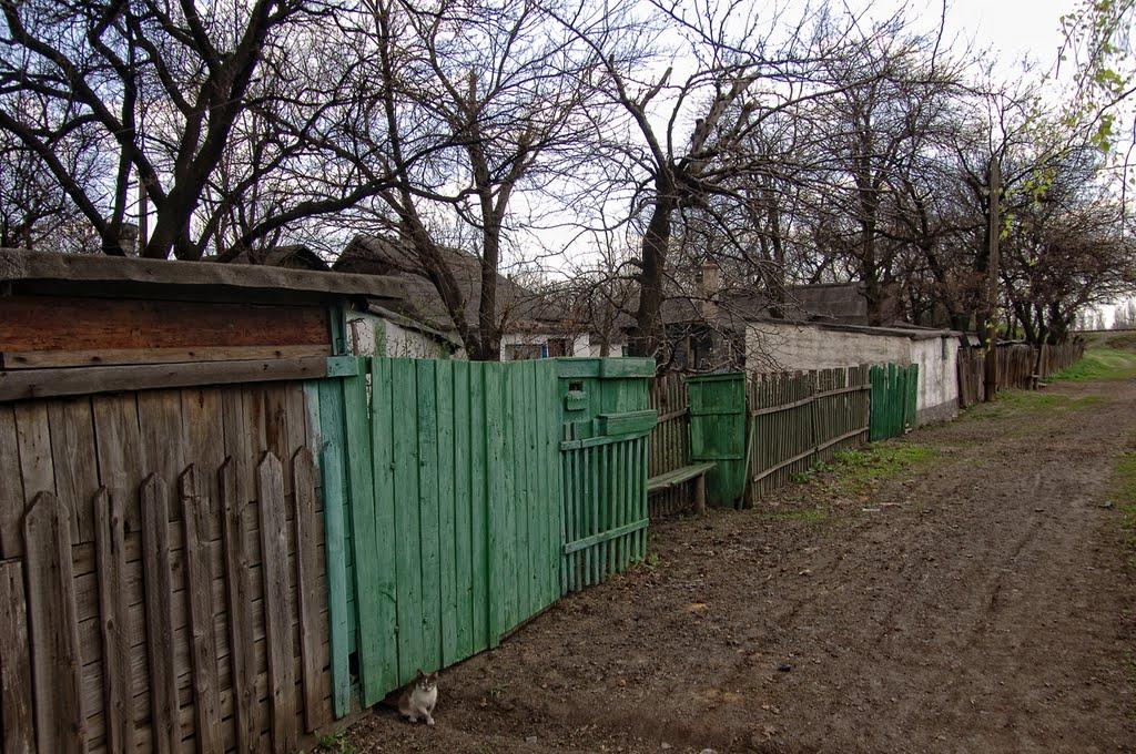 Кремінець з panoramio.com - Кременец