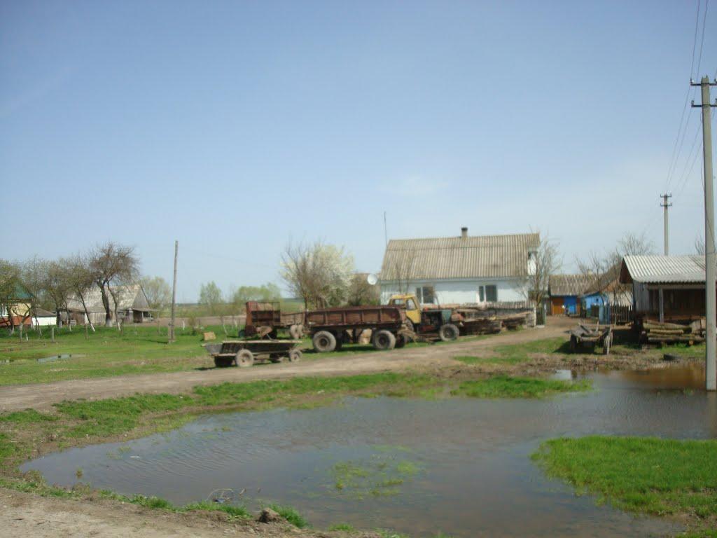 Дроздні з panoramio.com - Drozdni