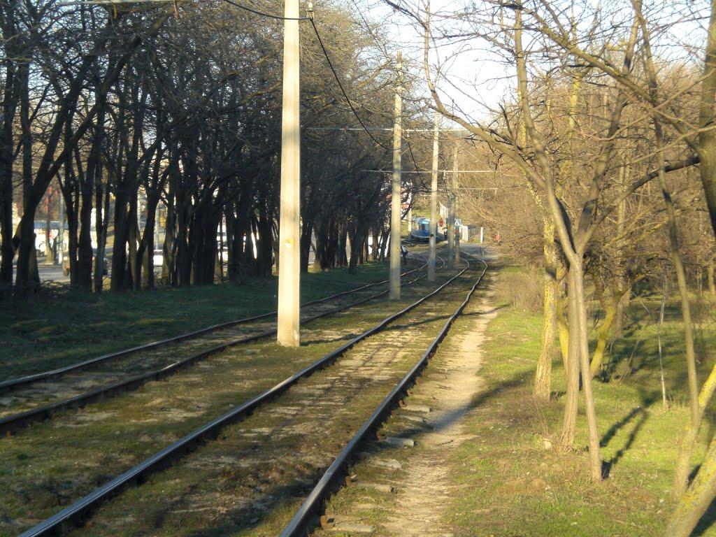 Корсунці з panoramio.com - Корсунцы