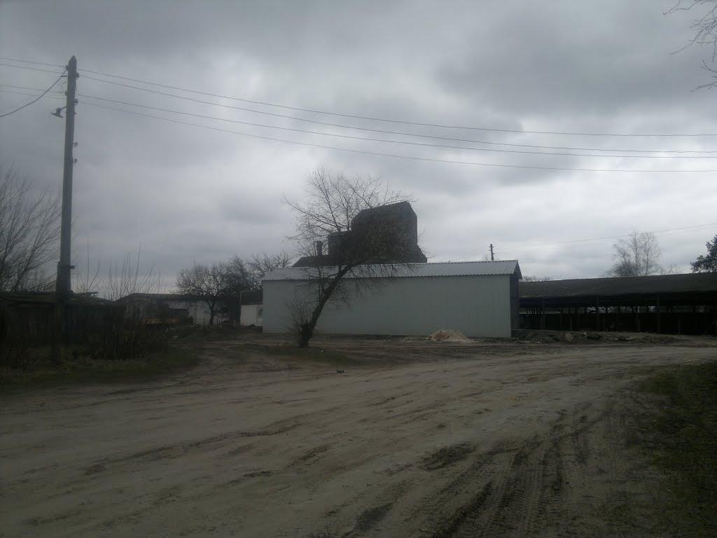 Бубнівська Слобідка з panoramio.com - Бубнівська Слобідка