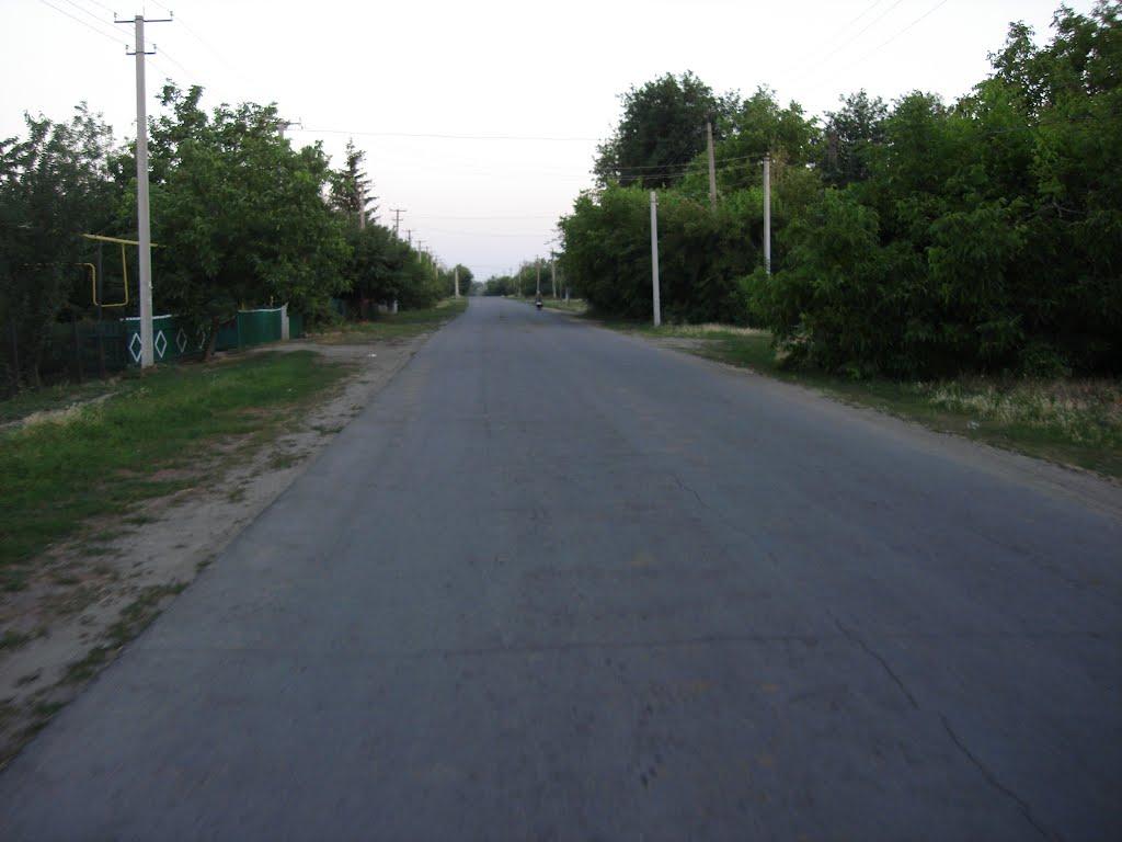 Любашівка з panoramio.com - Любашівка