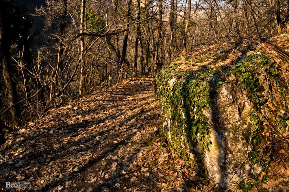 Баштанівка з panoramio.com - Баштанівка
