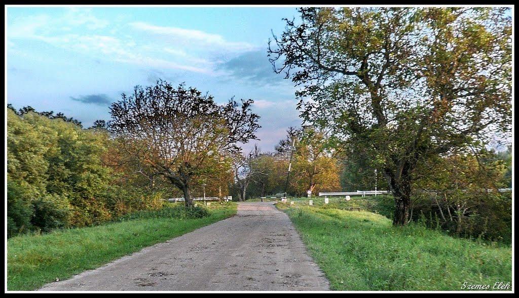 Галабор з panoramio.com - Galabor