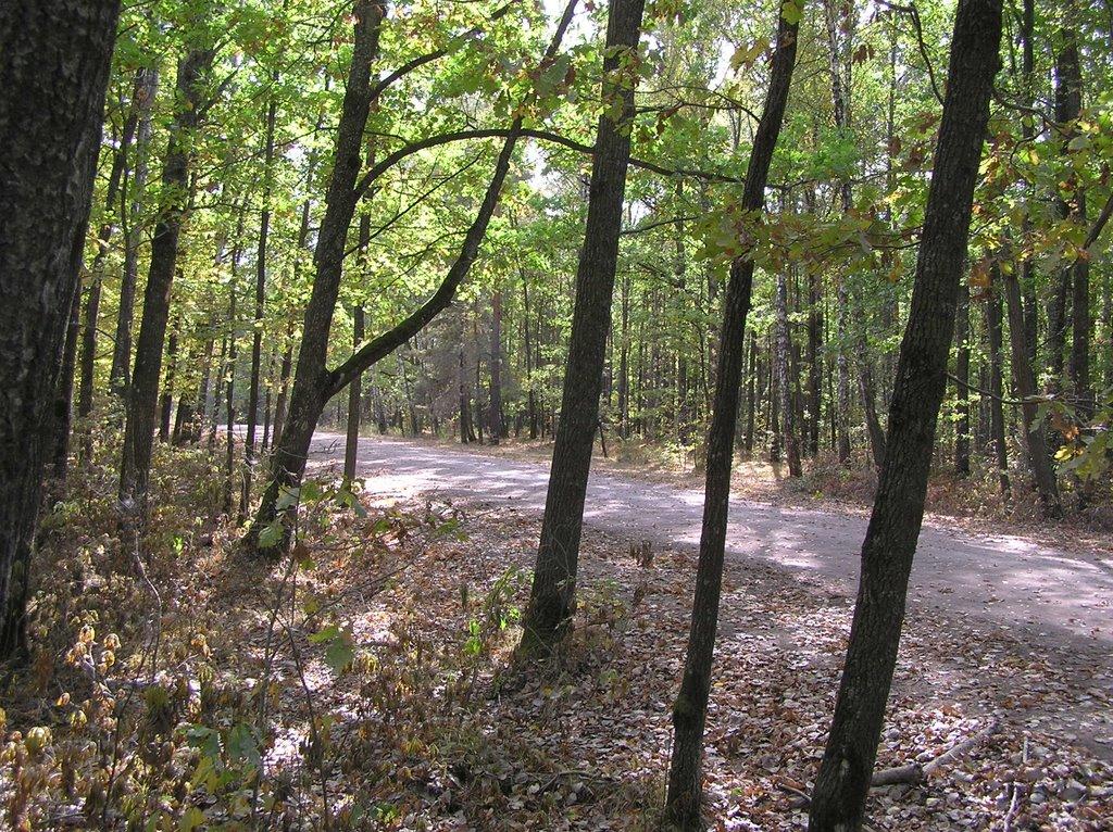 Горщик з panoramio.com - Горщик