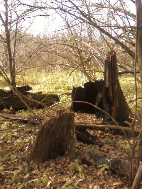Корналовичі з panoramio.com - Корналовичі