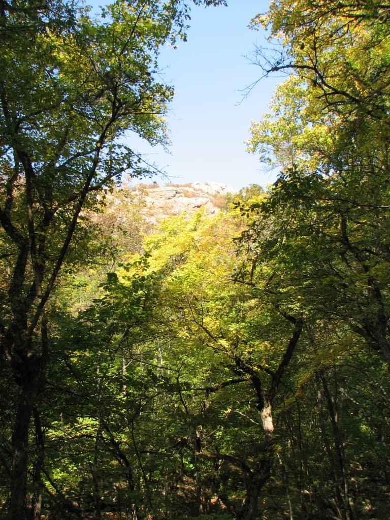 Чайковське з panoramio.com (ч.2) - Чайковское