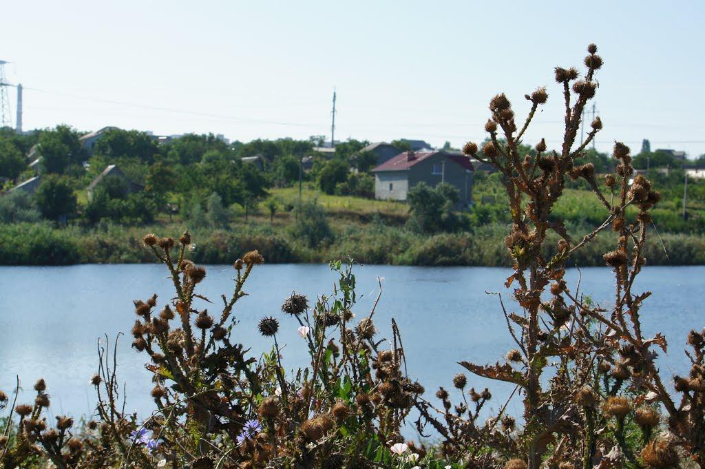 Корсунці з panoramio.com - Корсунцы