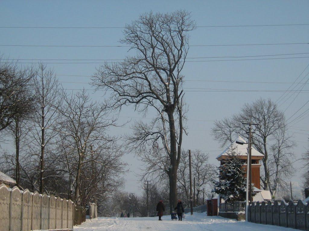 Ріпнів з panoramio.com - Ріпнів