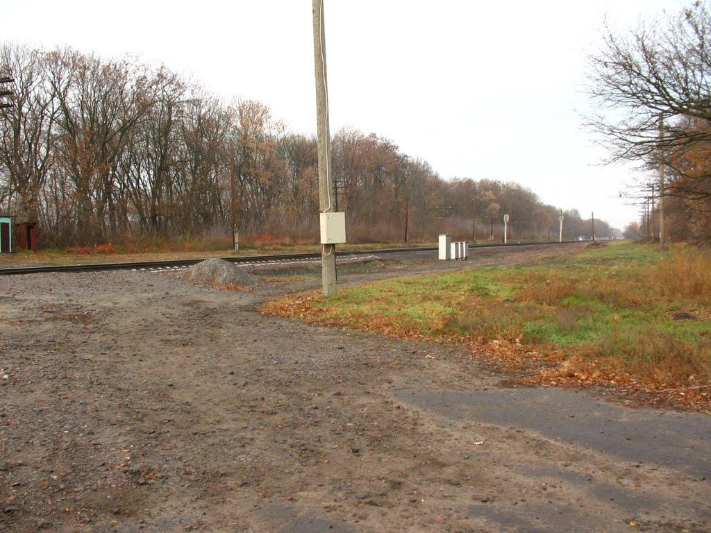 Оленівка з panoramio.com - Оленівка