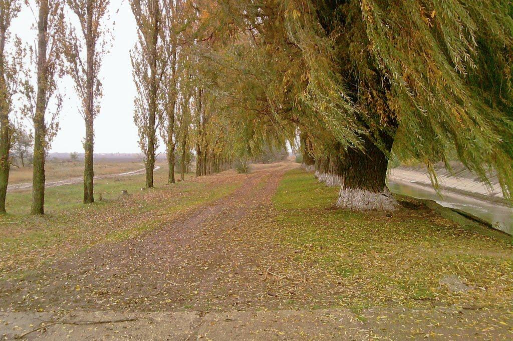 Чернишове з panoramio.com - Чернишове